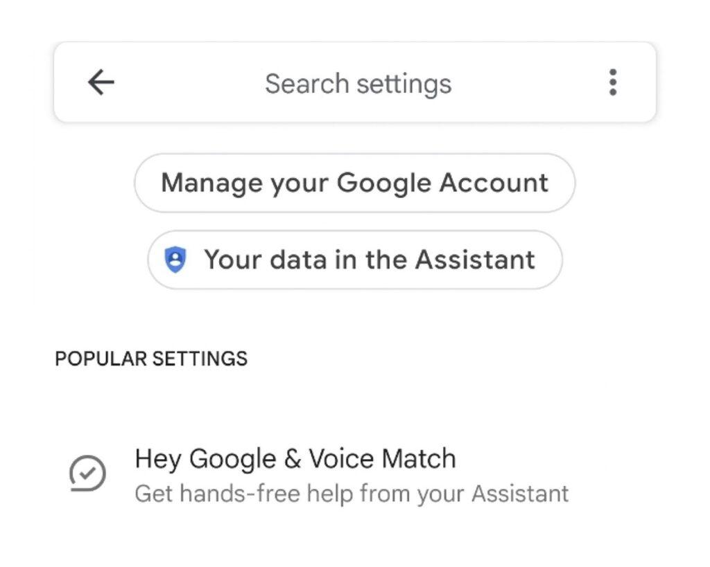 Google assistant setup